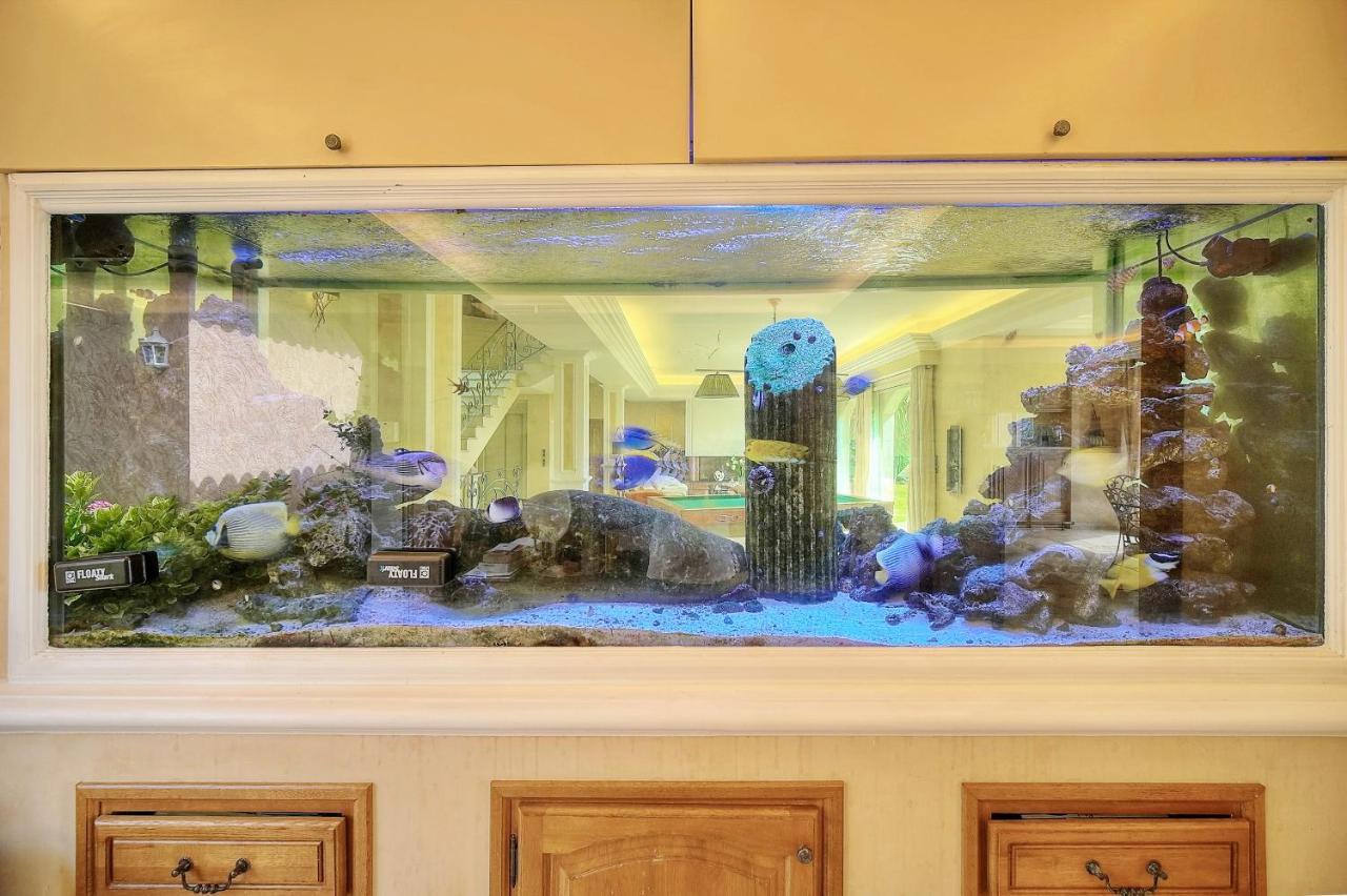 "Au Havre De Paix" 5 Etoiles Prestige Jacuzzi, Hammam, Sauna, Piscine Chauffee Mougins Cannes Grasse Exterior foto